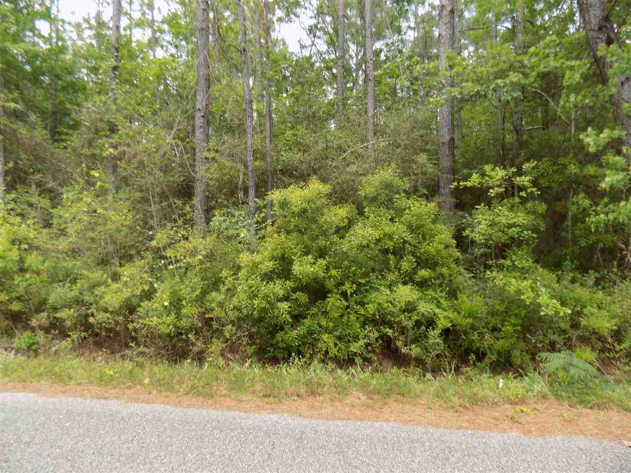 3.86 Ward Basin Road Milton, FL 32583 - Photo 8 of 11 Gallery Image 8
