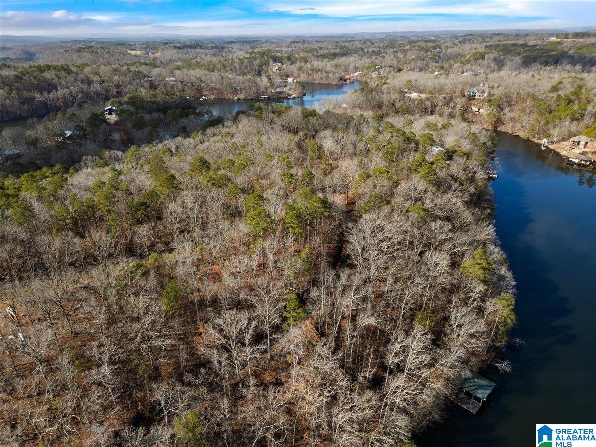 232 Sunset Strip, Unit 14 & 9 & 8 Oneonta, AL 35121 - Photo 10 of 21