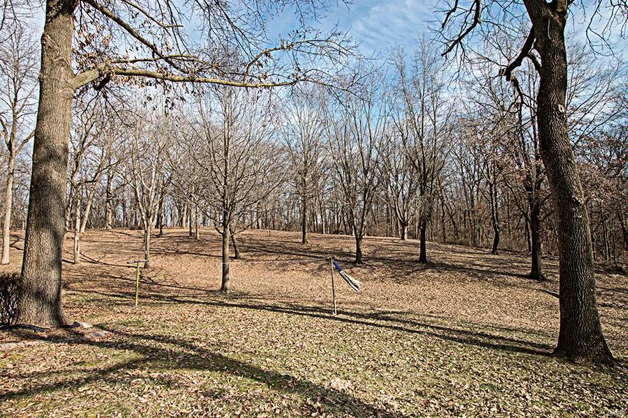 14836 Sportsmen Road Trenton, IL 62293 - Photo 58 of 69 Gallery Image 58
