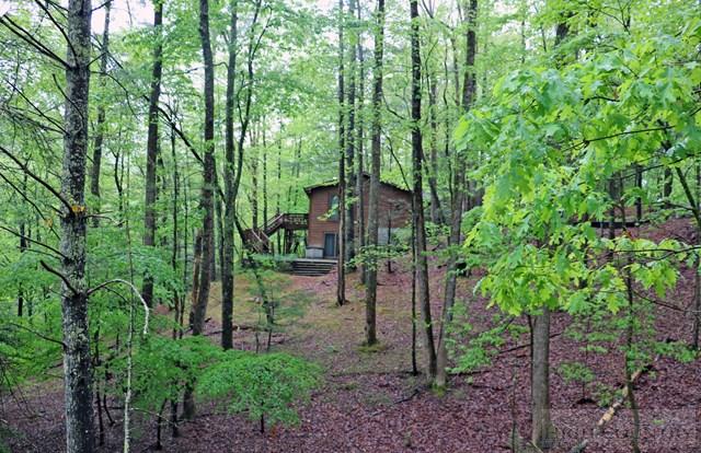 251 Trout Lake Road Deep Gap, NC 28618 - Photo 11 of 20