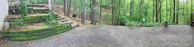 251 Trout Lake Road Deep Gap, NC 28618 - Photo 13 of 20