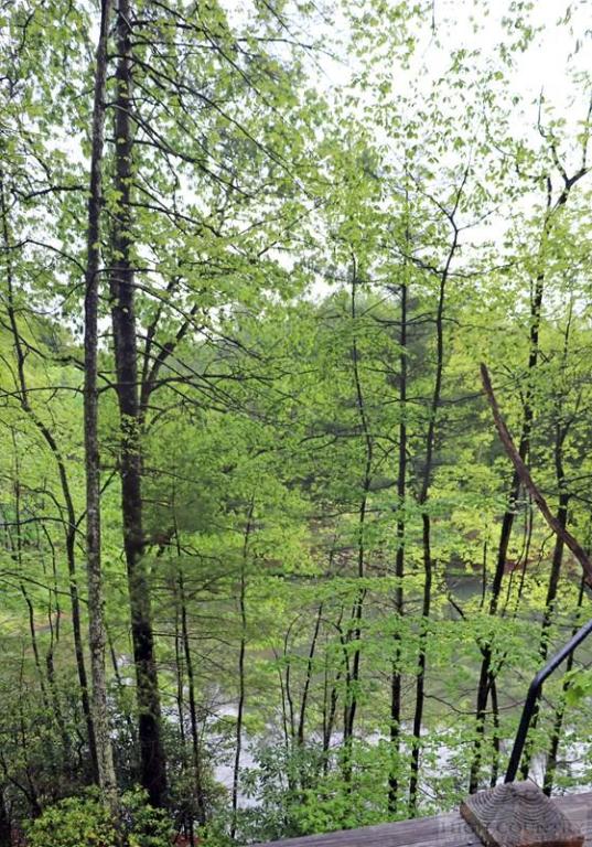 251 Trout Lake Road Deep Gap, NC 28618 - Photo 14 of 20