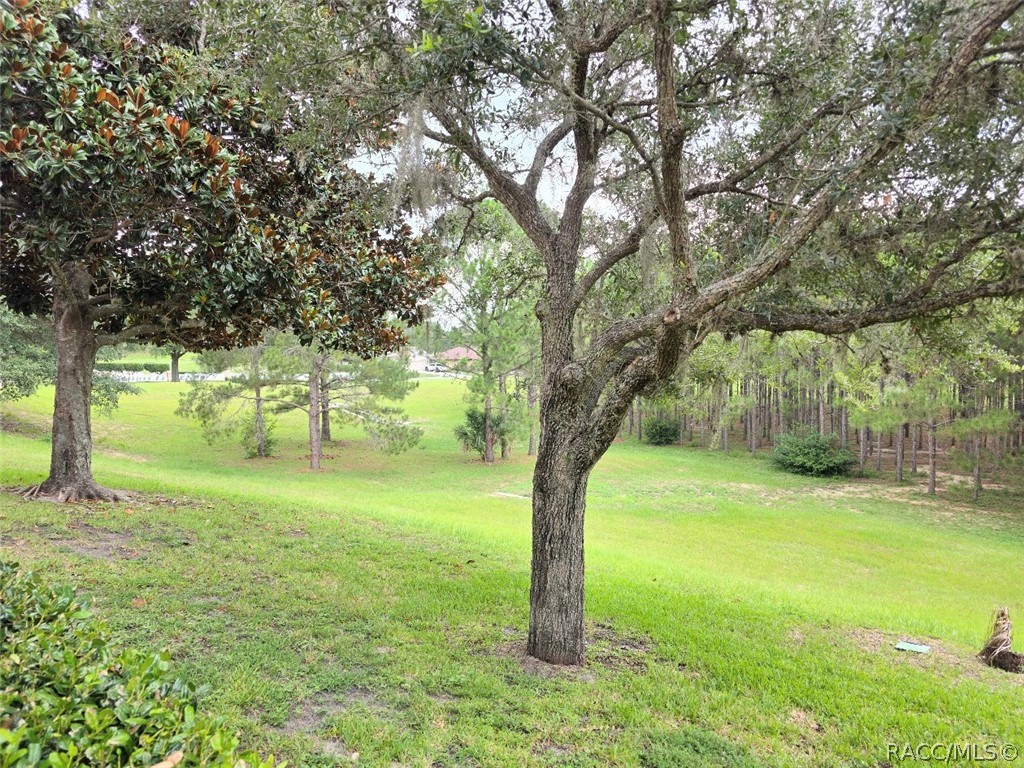 1600 West Spring Meadow Loop Lecanto, FL 34461 - Photo 6 of 28 a view of an trees with a yard