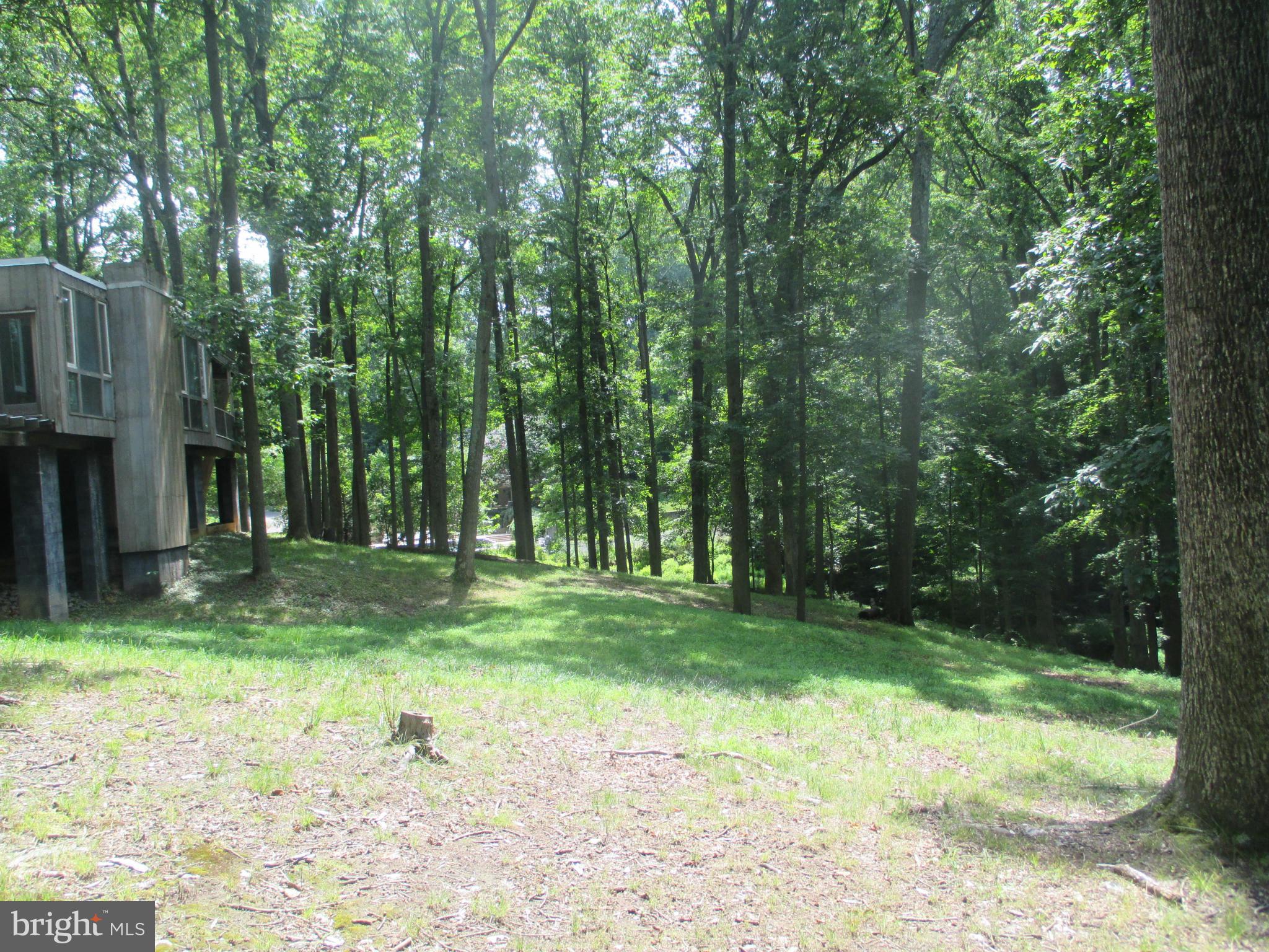 7829 Langley Ridge Road McLean, VA 22102 - Photo 11 of 15 Exterior (General)
