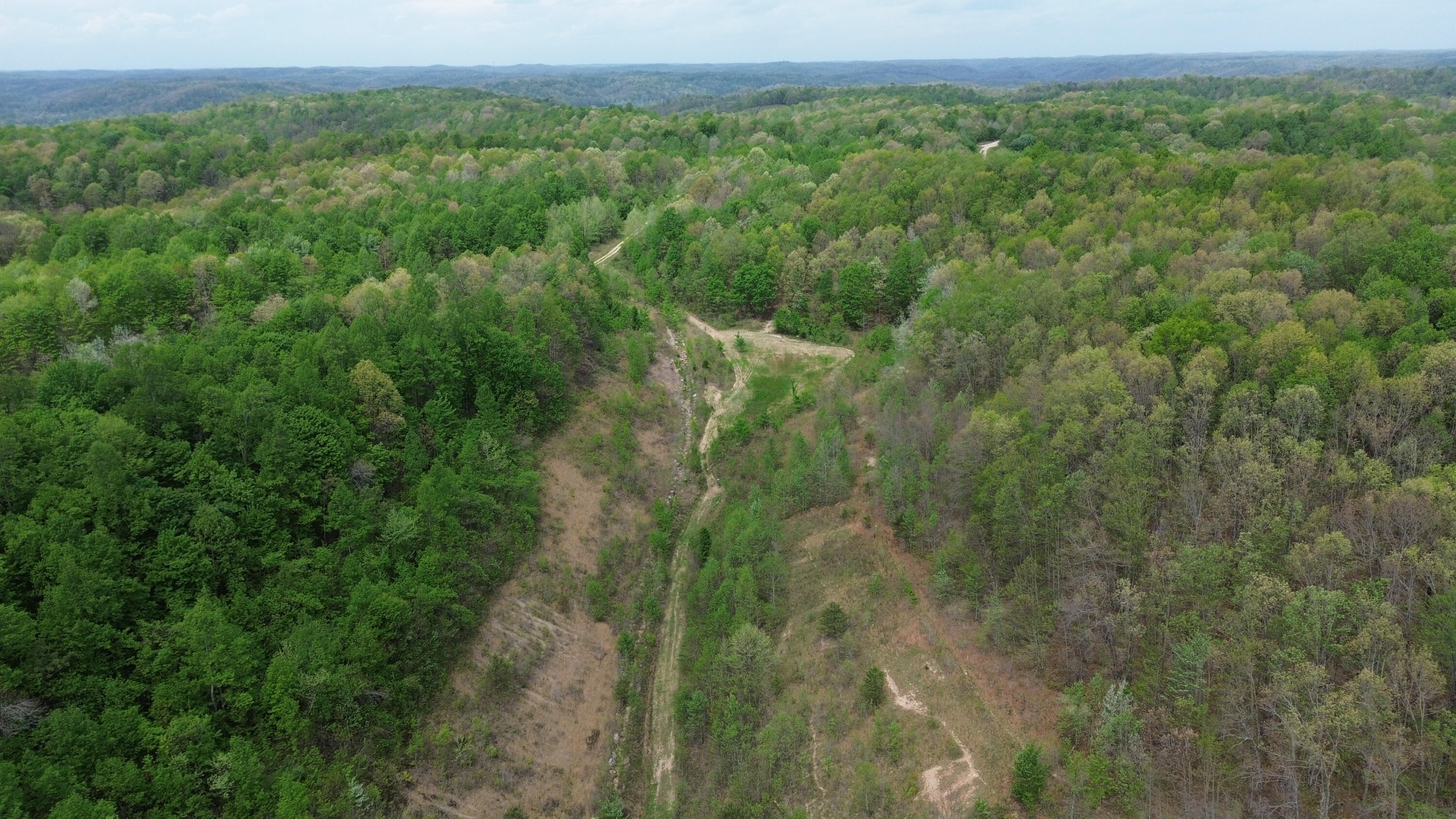 1271 A Tunnel Ridge Road Grayson, KY 41143 - Photo 42 of 134 Food Plot Area