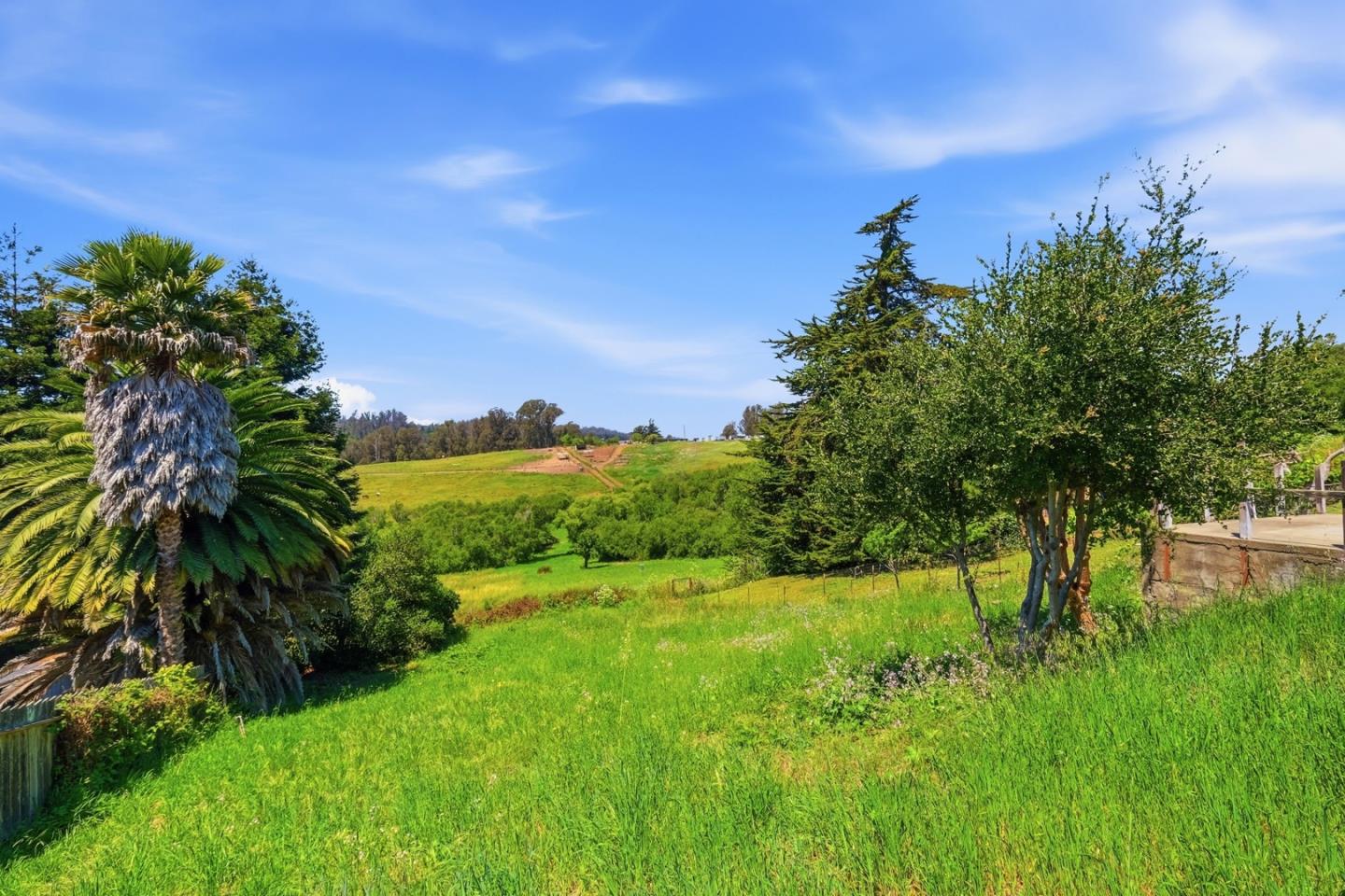 215 Manfre Road Watsonville, CA 95076 - Photo 36 of 36 a view of a garden