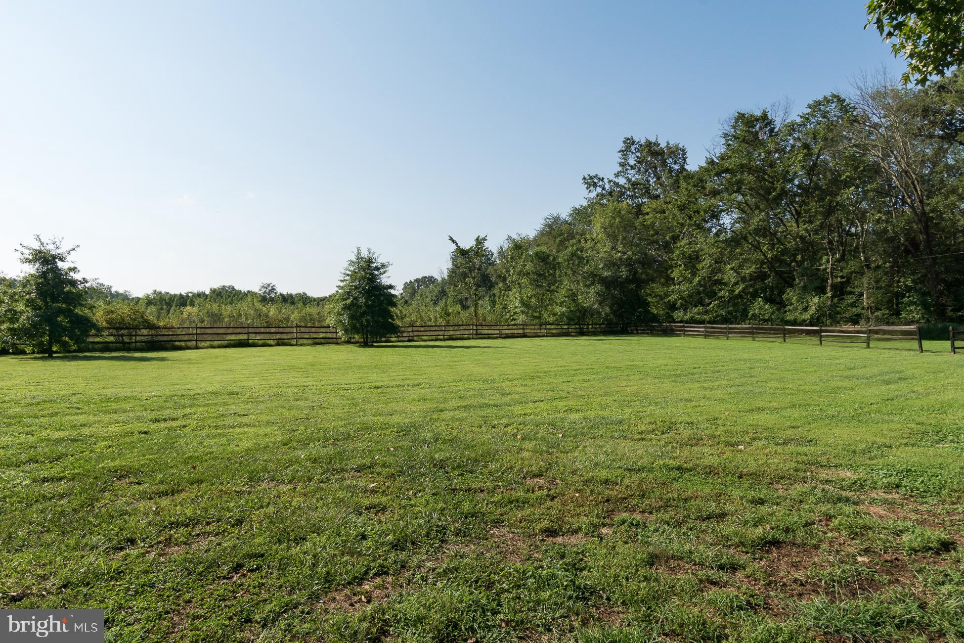 1040 Mercer Road Princeton, NJ 08540 - Photo 36 of 44 View of backyard