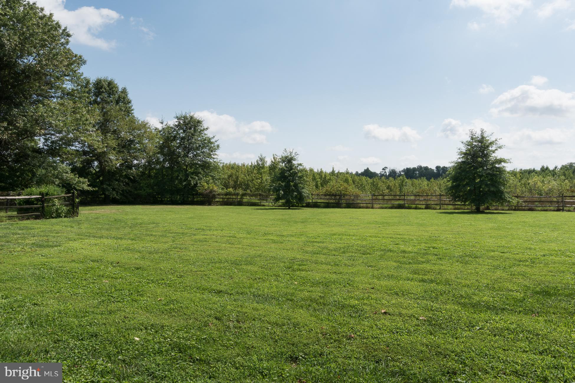 1040 Mercer Road Princeton, NJ 08540 - Photo 37 of 44 Backyard