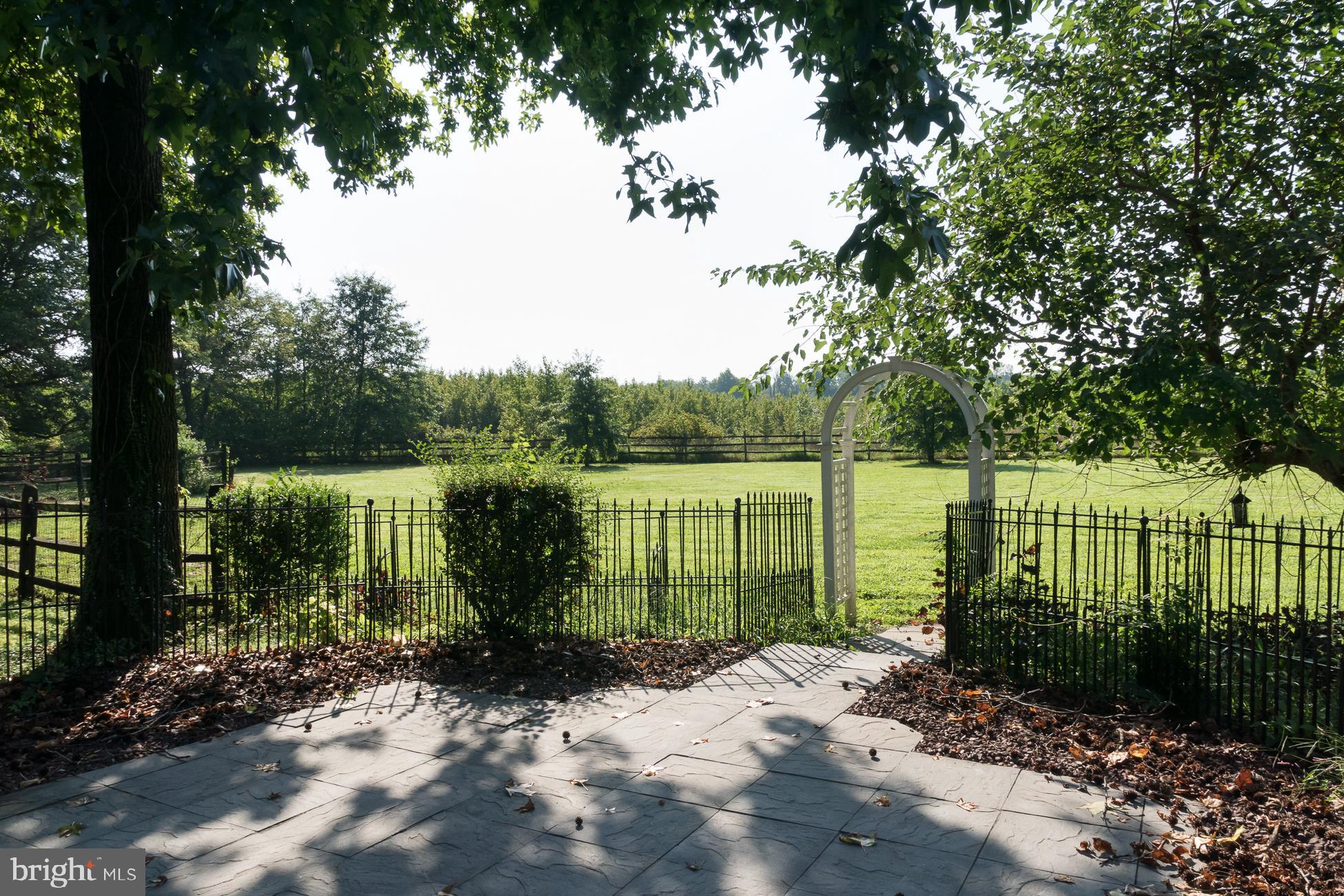 1040 Mercer Road Princeton, NJ 08540 - Photo 41 of 44 View of Yard from Patio