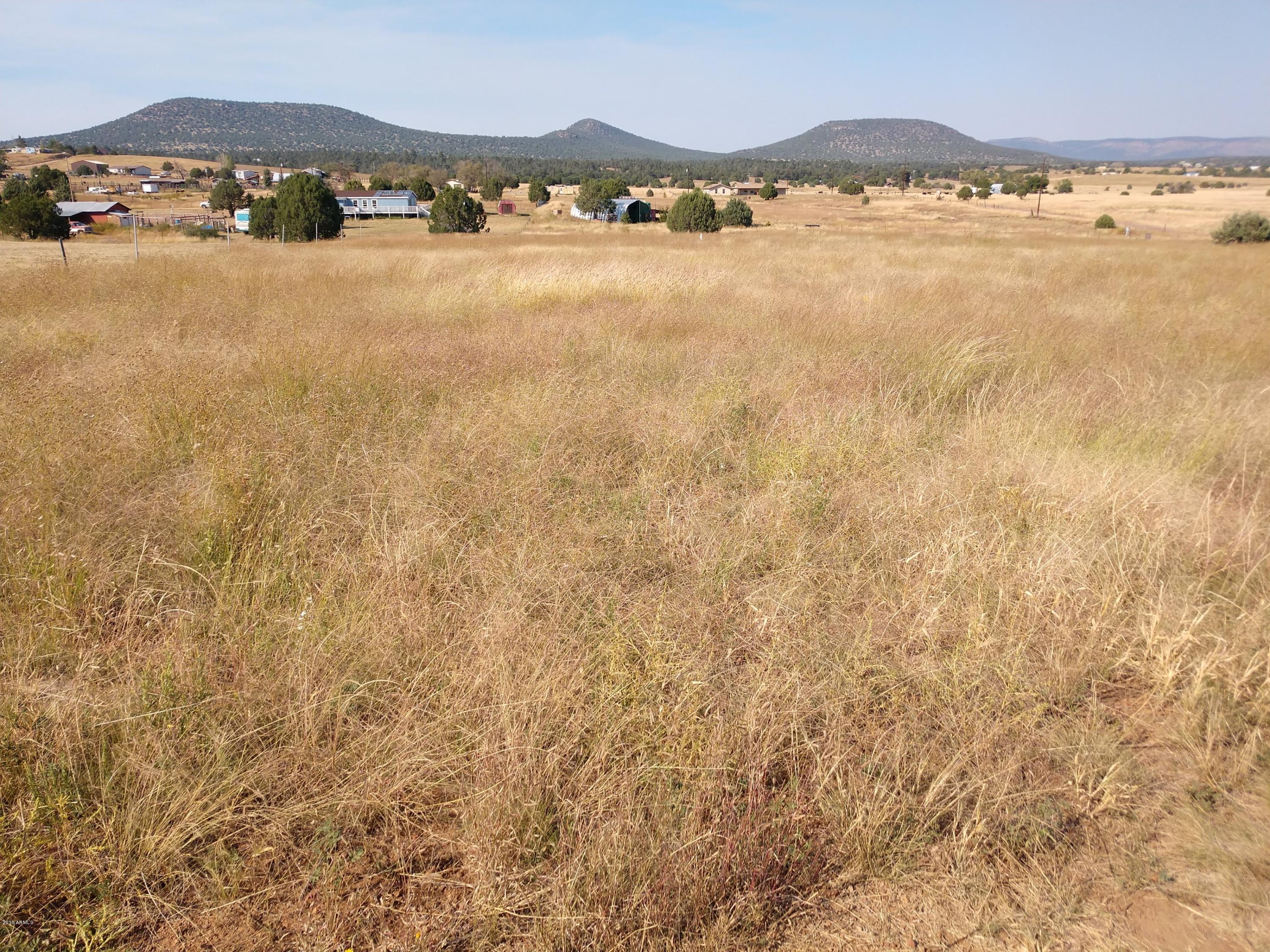 248 South Elk Ridge, Unit A Young, AZ 85554 - Photo 1 of 3 IMG_20180927_150746924