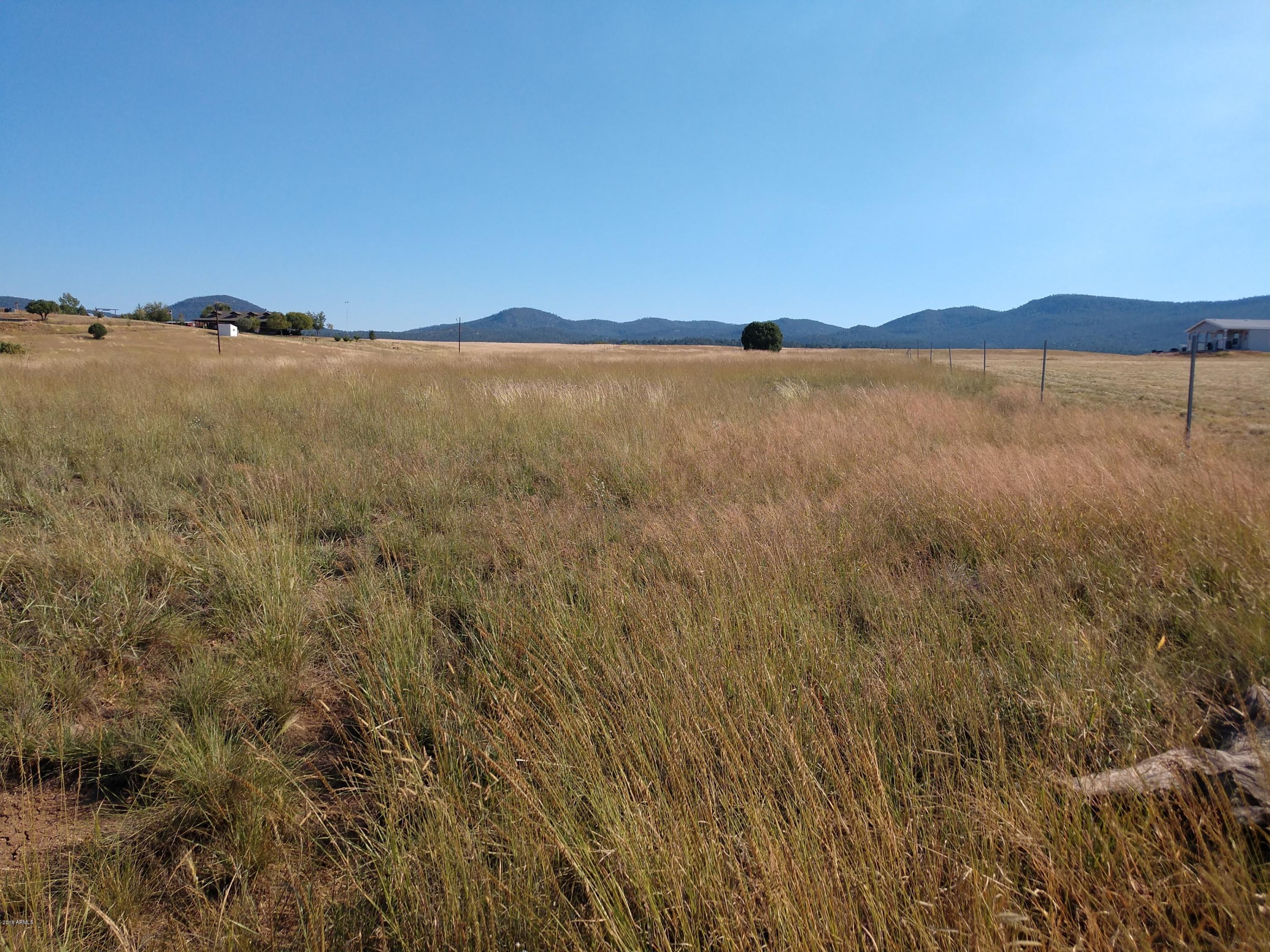 248 South Elk Ridge, Unit A Young, AZ 85554 - Photo 3 of 3 IMG_20180927_151349143
