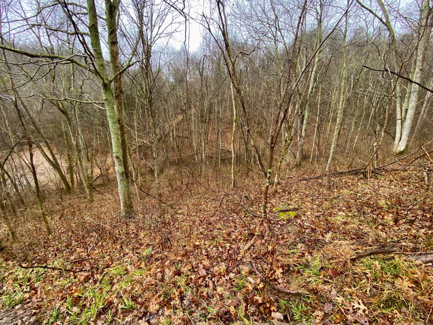 1334 Roush Hill Road Manchester, OH 45144 - Photo 14 of 22