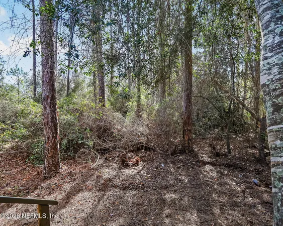 $239,000 | 20 North Dolphin Avenue, Middleburg, FL 32068