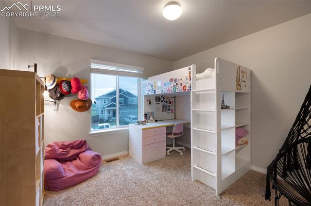 6038 Jorie Road Colorado Springs, CO 80927 - Photo 24 of 41