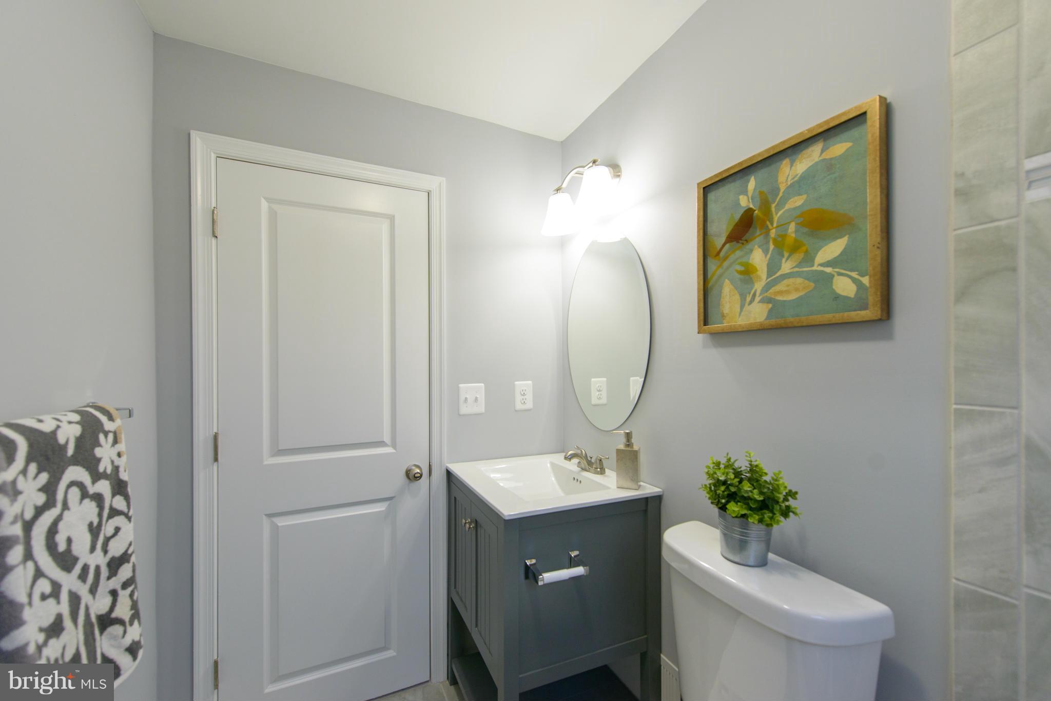 2127 Firethorn Road Baltimore, MD 21220 - Photo 15 of 30 a bathroom with a toilet a sink and mirror