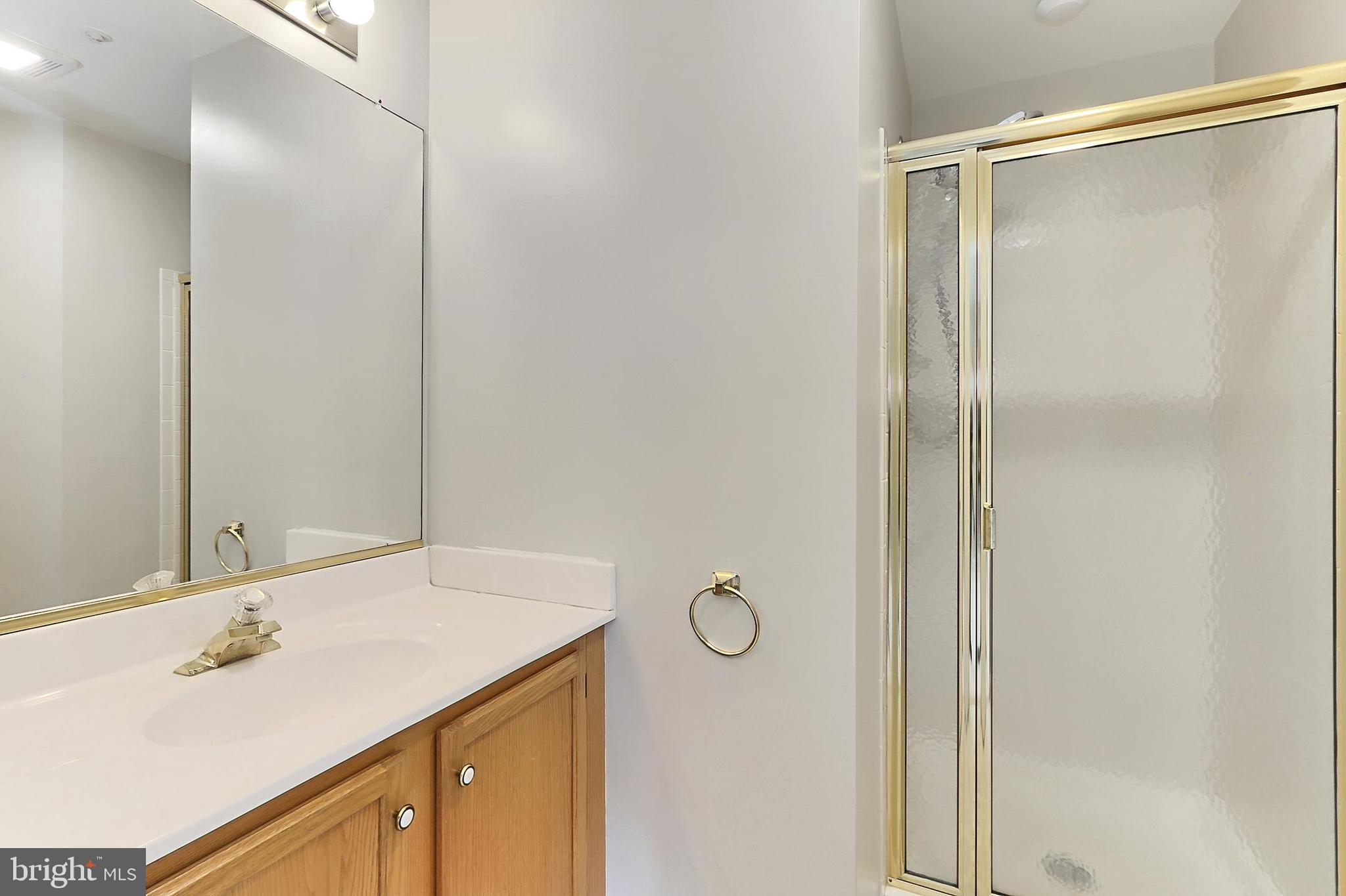 7005 E Birkenhead Place, Unit E Alexandria, VA 22315 - Photo 11 of 21 a bathroom with a sink and a mirror