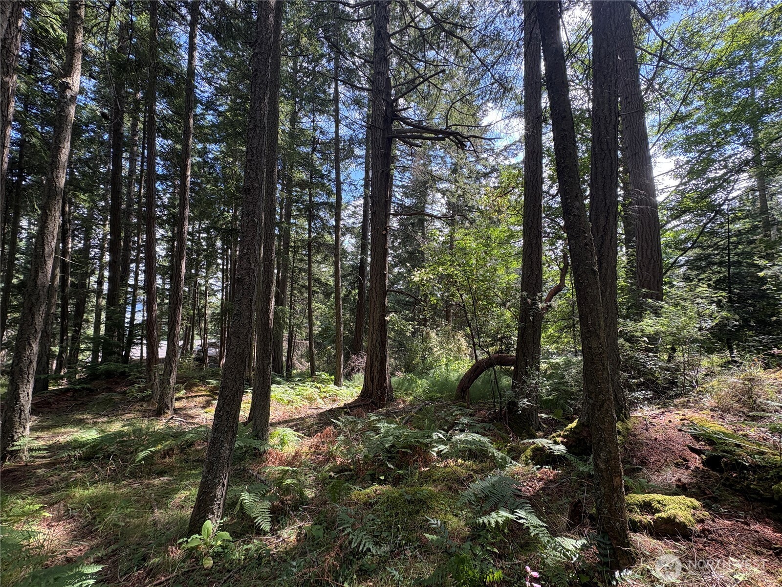 14 Rosario Road Orcas Island, WA 98245 - Photo 23 of 39