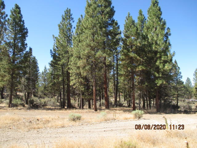 Lot 2200 Sycan Road Beatty, OR 97621 - Photo 8 of 9 IMG_6107