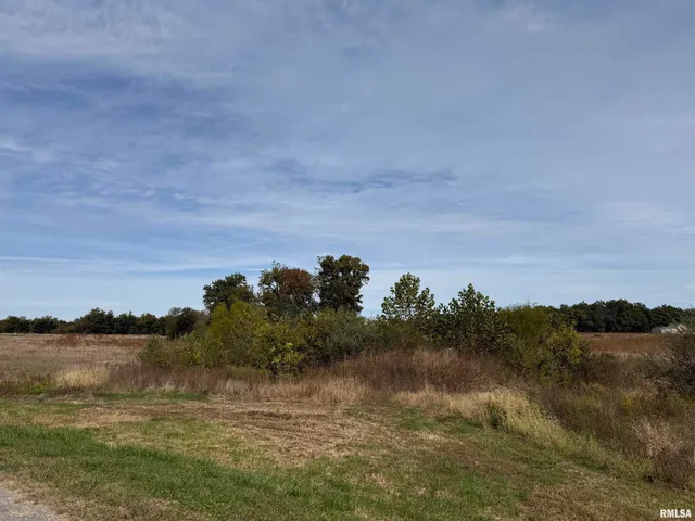 $990,000 | Tbd South Market Street, Marion, IL 62959