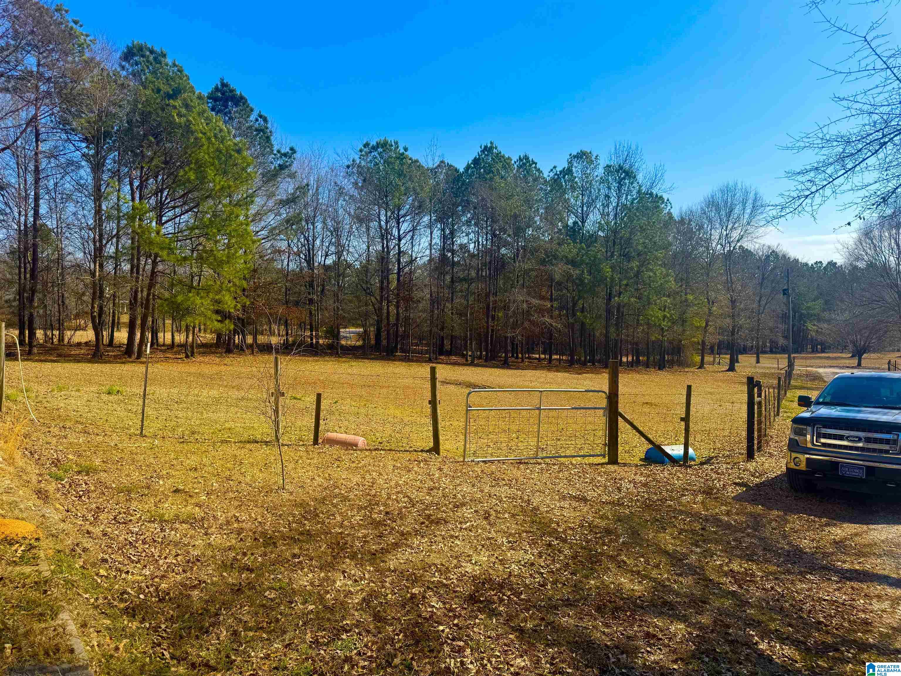 669 Emerald Valley Lane Sylacauga, AL 35151 - Photo 46 of 65