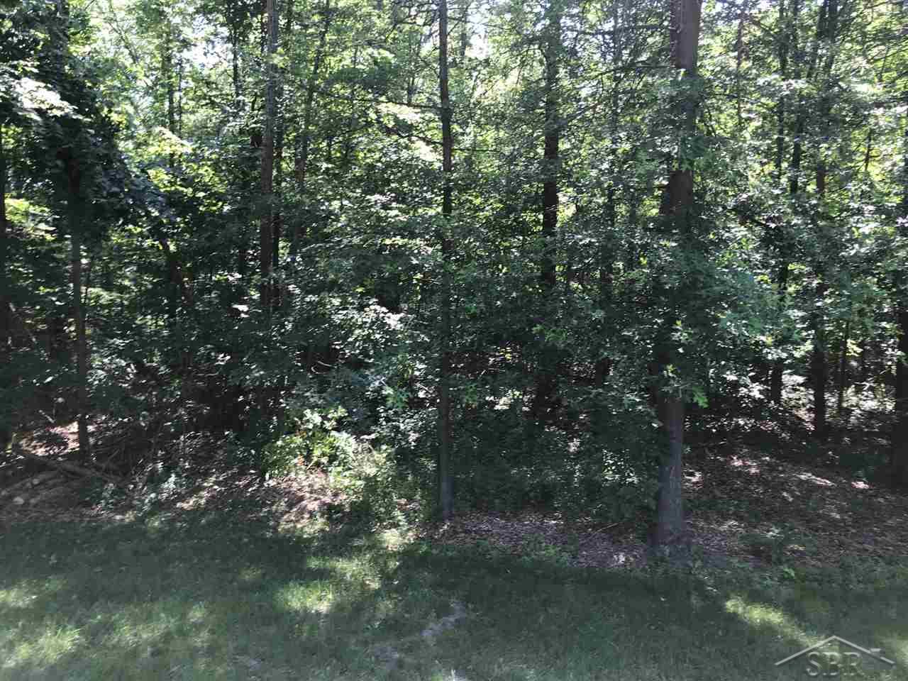 7400 South Steel Road St. Charles, MI 48655 - Photo 78 of 85 31353403-80.JPG