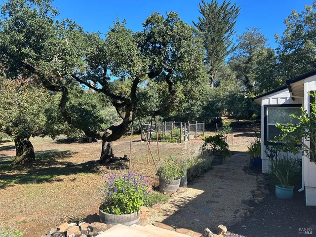 a backyard of a house with lots of green space