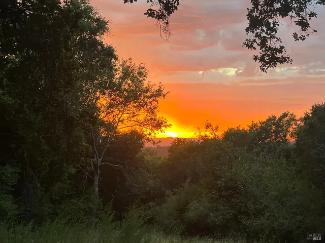 a view of backyard with green space
