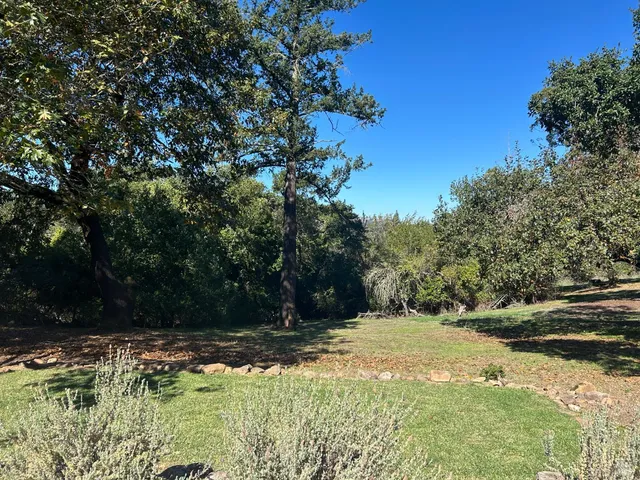 a view of a bird bath