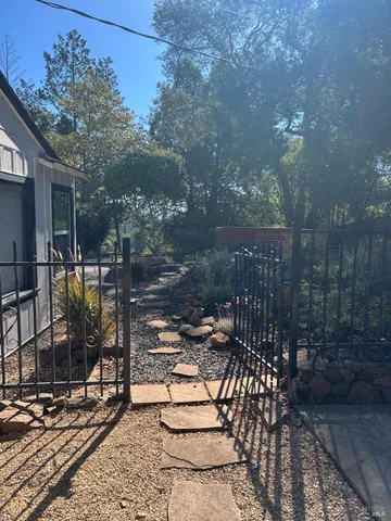 a view of a tree with lots of plants