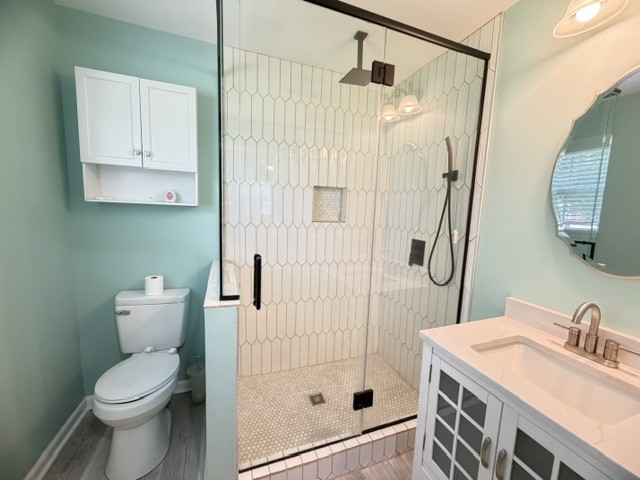 1300 Pleasant Ridge Road Huntland, TN 37345 - Photo 10 of 22 a bathroom with a sink a toilet and shower