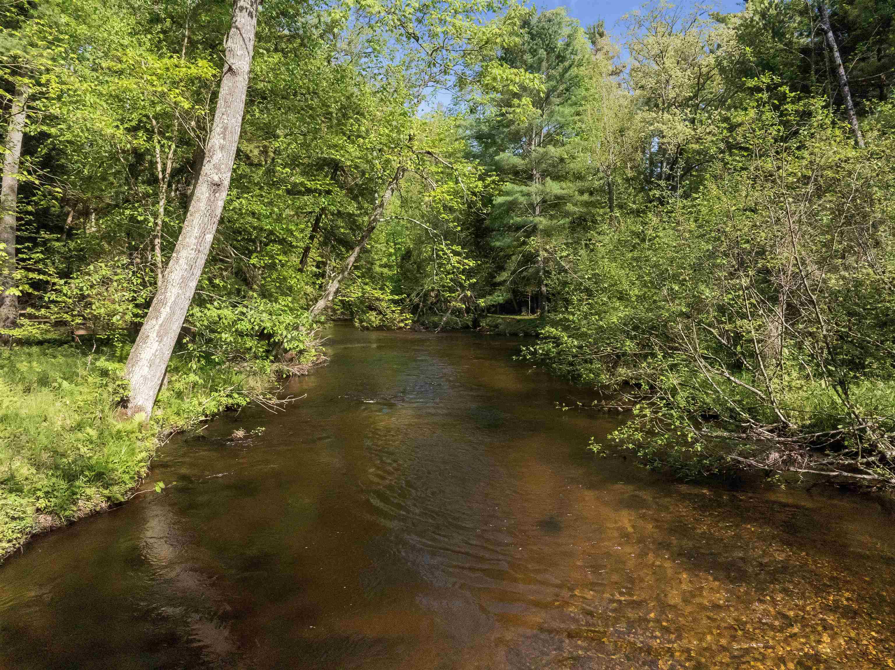 8088 North Roberts Road Irons, MI 49644 - Photo 3 of 74