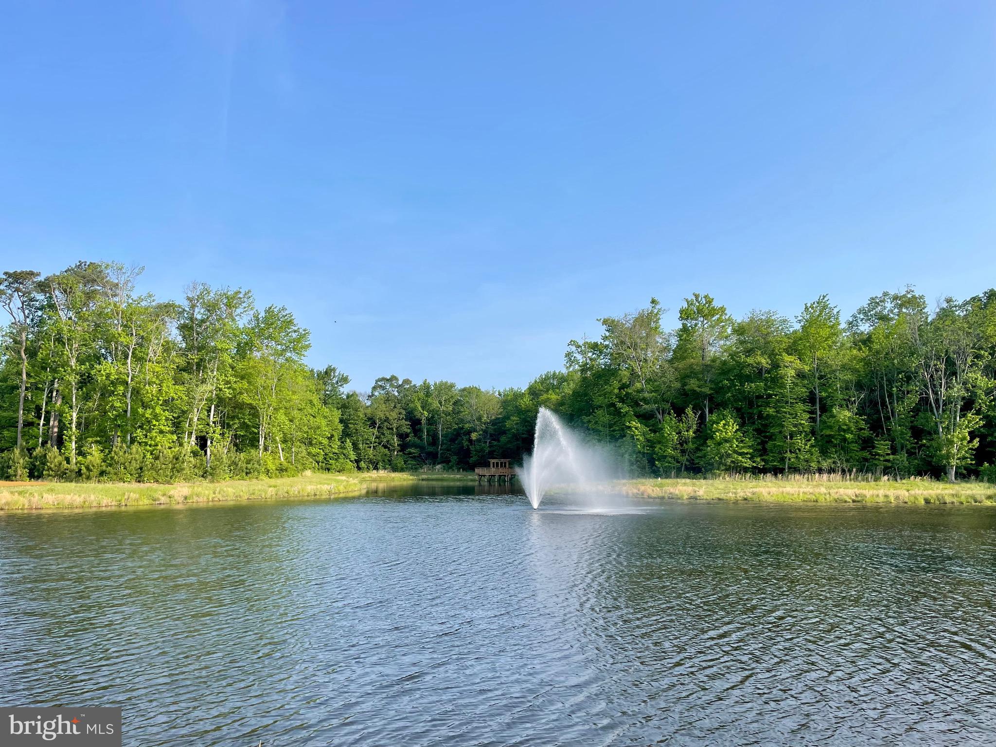 31502 Rockwood Road Ocean View, DE 19967 - Photo 73 of 83 Water Fountain and view along the nature trail.