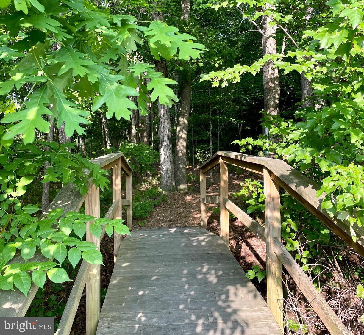 31502 Rockwood Road Ocean View, DE 19967 - Photo 75 of 83 Beginning of the Nature Trail