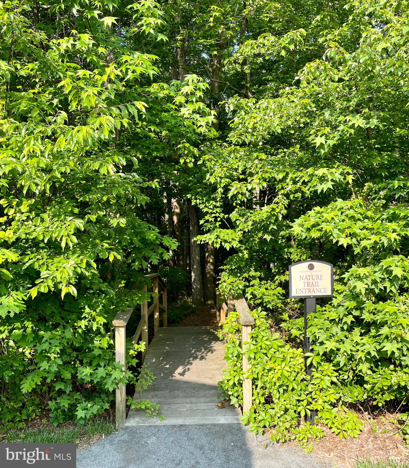 31502 Rockwood Road Ocean View, DE 19967 - Photo 76 of 83