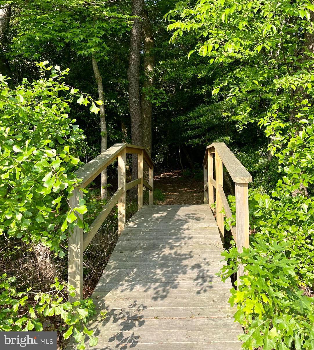 31502 Rockwood Road Ocean View, DE 19967 - Photo 77 of 83 End of the Nature Trail