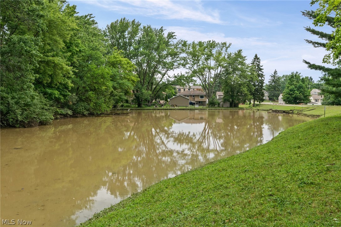 410 Lafayette Road, Unit 12 Medina, OH 44256 - Photo 33 of 34