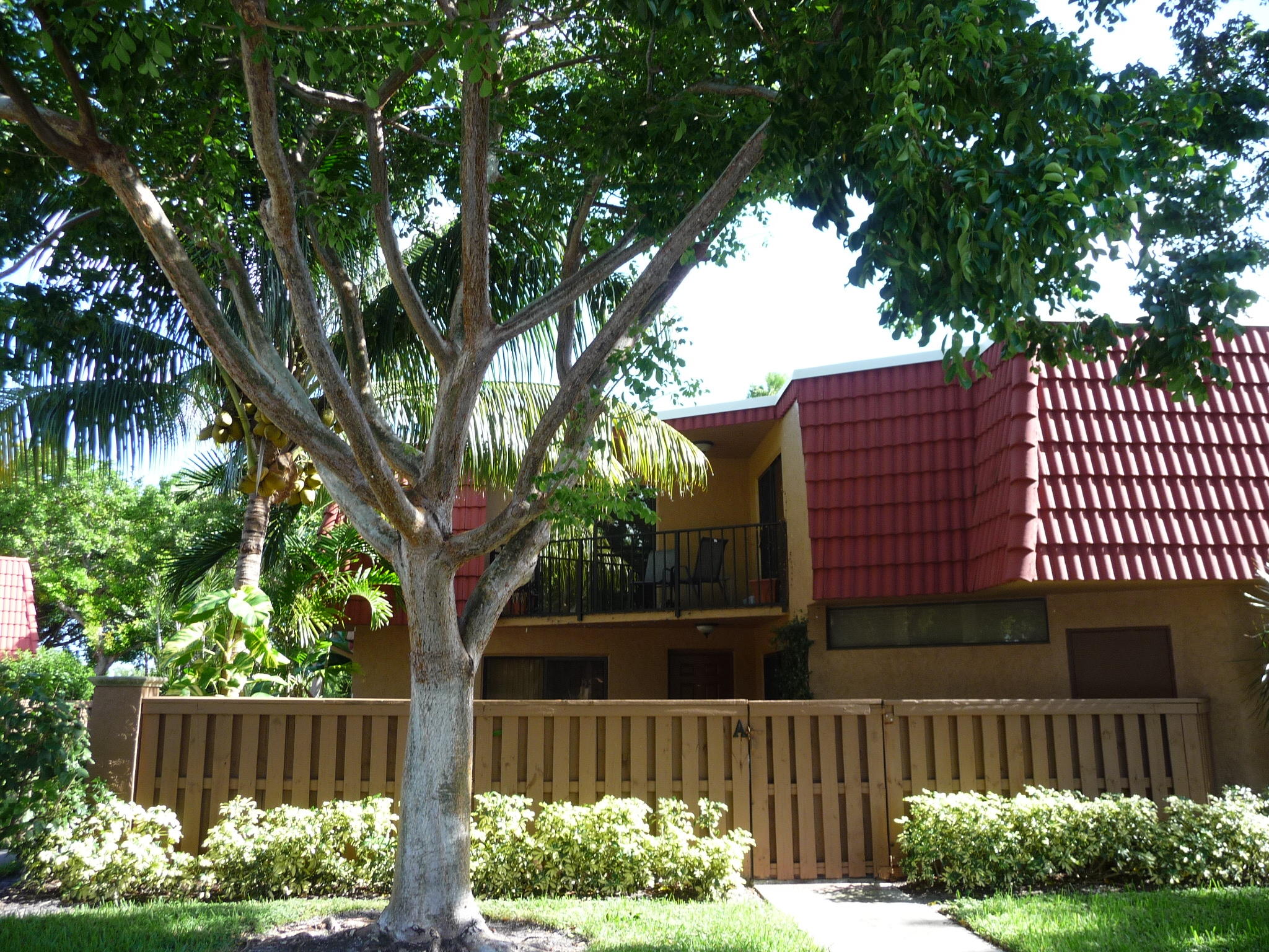 8129 Severn Drive, Unit A Boca Raton, FL 33433 - Photo 1 of 22 P1030543