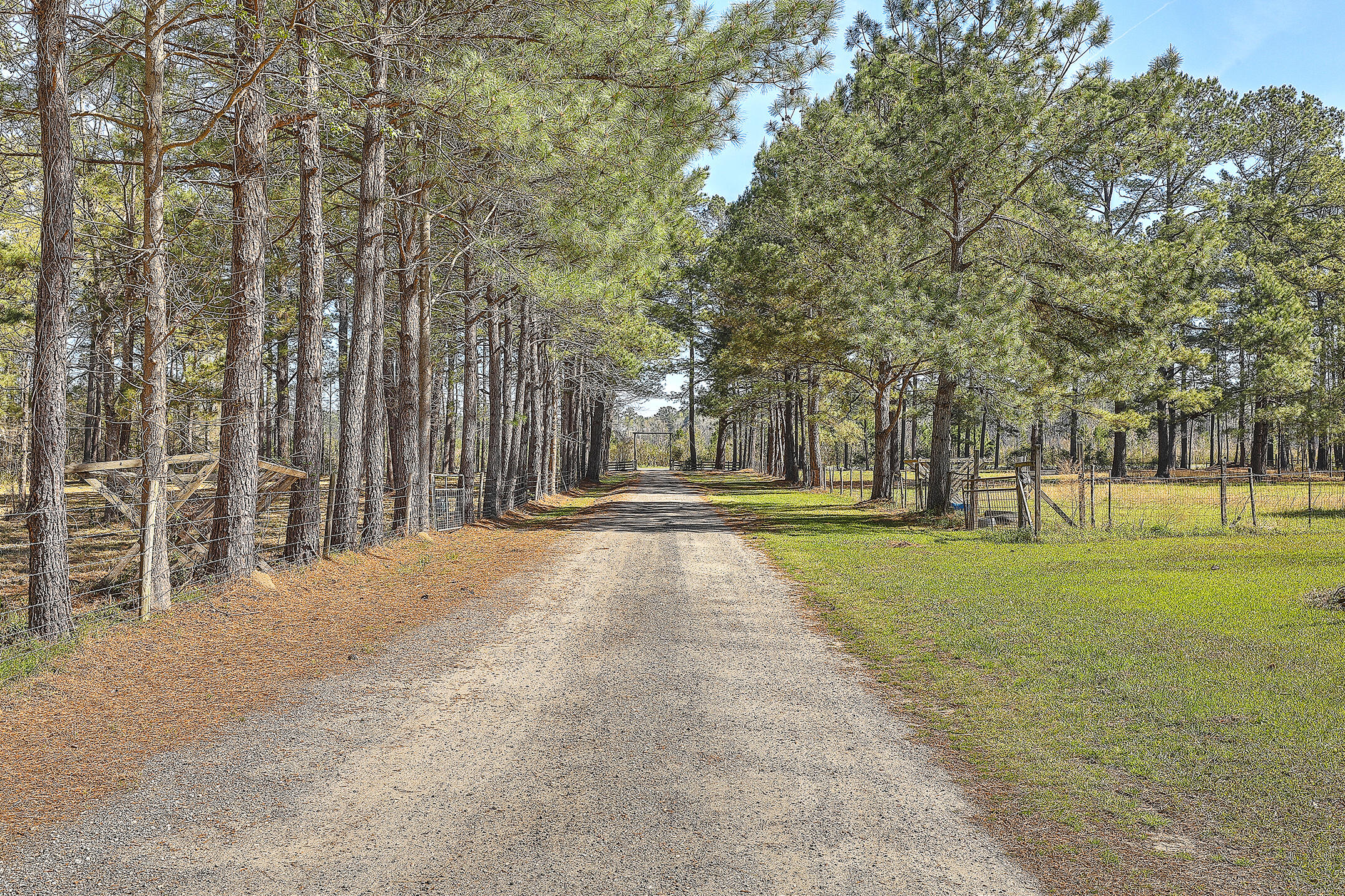 2222 Wesley Grove Road Cottageville, SC 29435 - Photo 11 of 38 1R3A4932_3_4_5_6_7_8