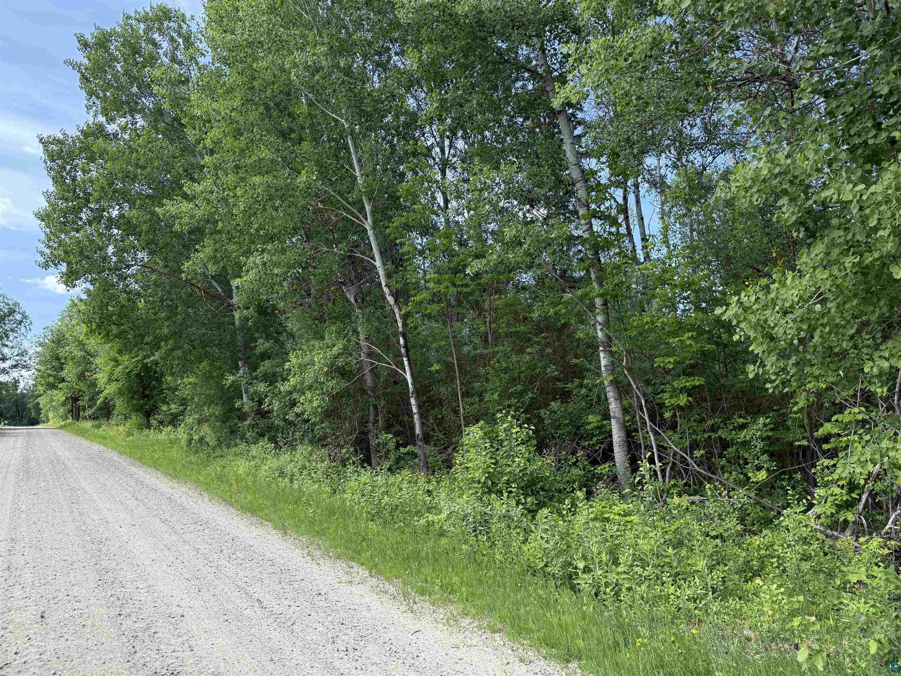 Parcel A Parcel A Parameter Road Deer River, MN 56636 - Photo 6 of 25