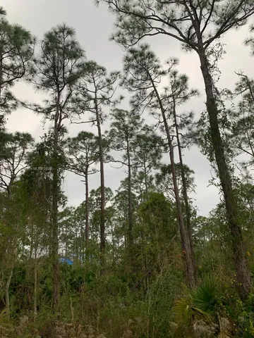 $32,000 | 28338 Calais Avenue, Punta Gorda, FL 33955