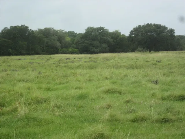 a view of a field with trees in the background