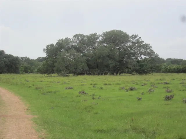 a view of a big yard with trees in the background