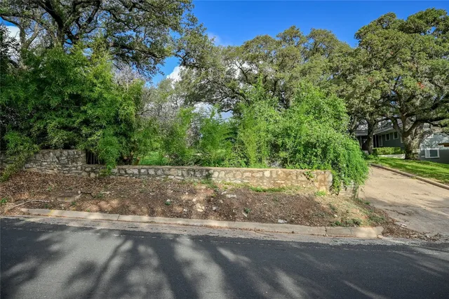 a view of a yard with a tree