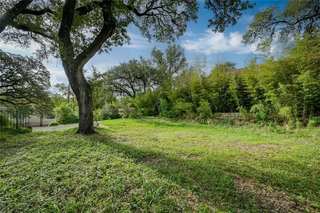 a view of outdoor space with trees all around