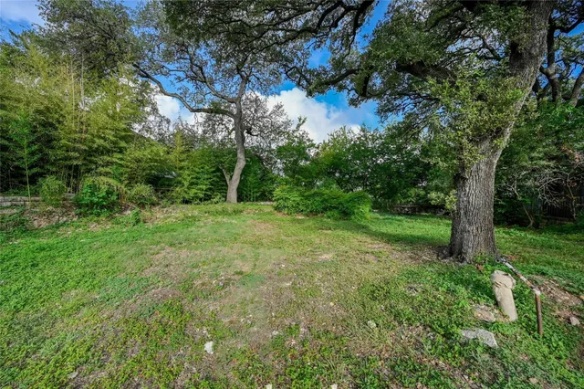 a view of a lush green space