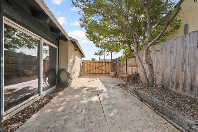 a view of backyard with large trees and wooden fence