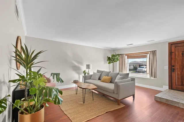 a living room with furniture potted plant and a window