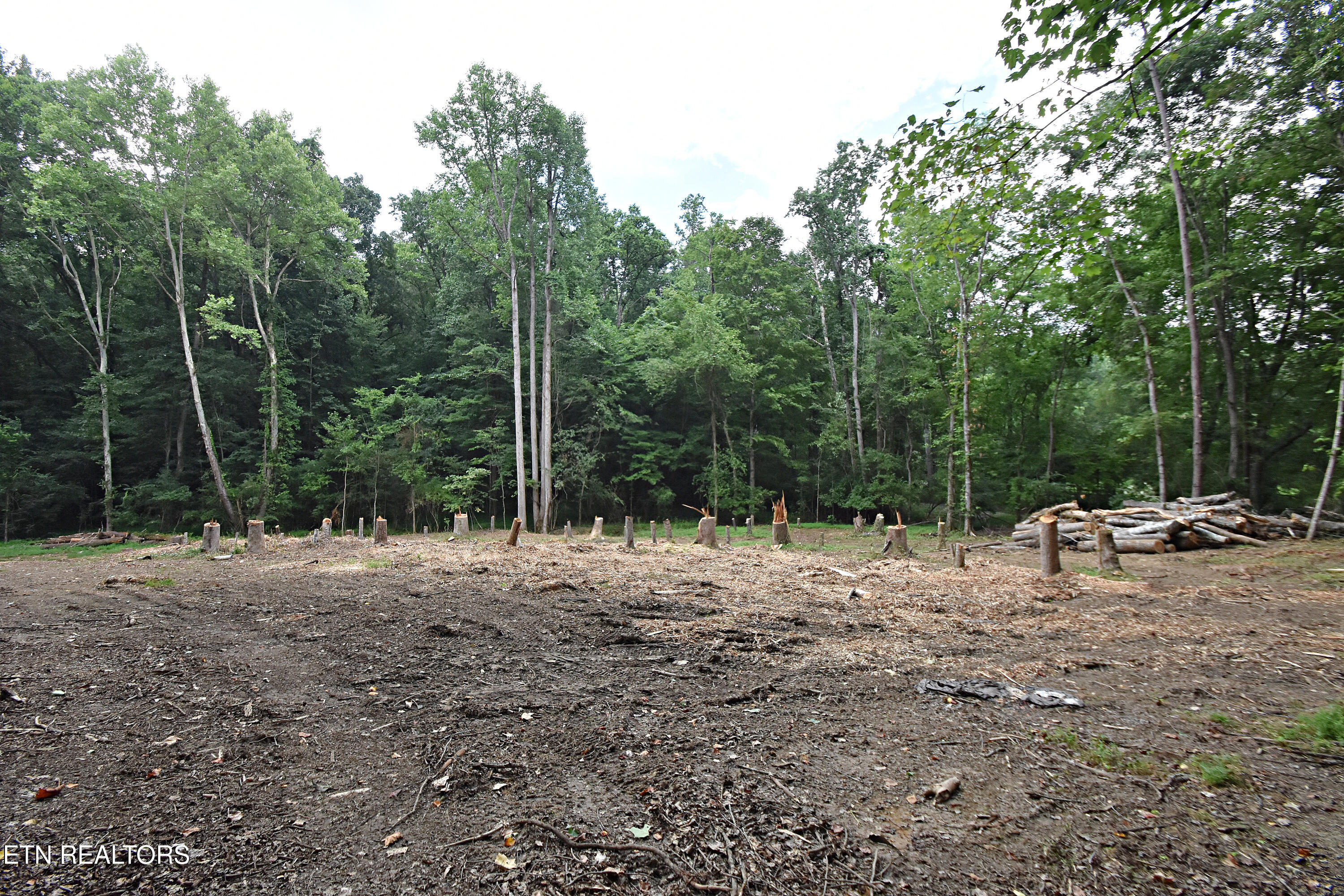 0 Early Road, Unit 2 Knoxville, TN 37922 - Photo 2 of 12 0 Early Rd. Tract 2