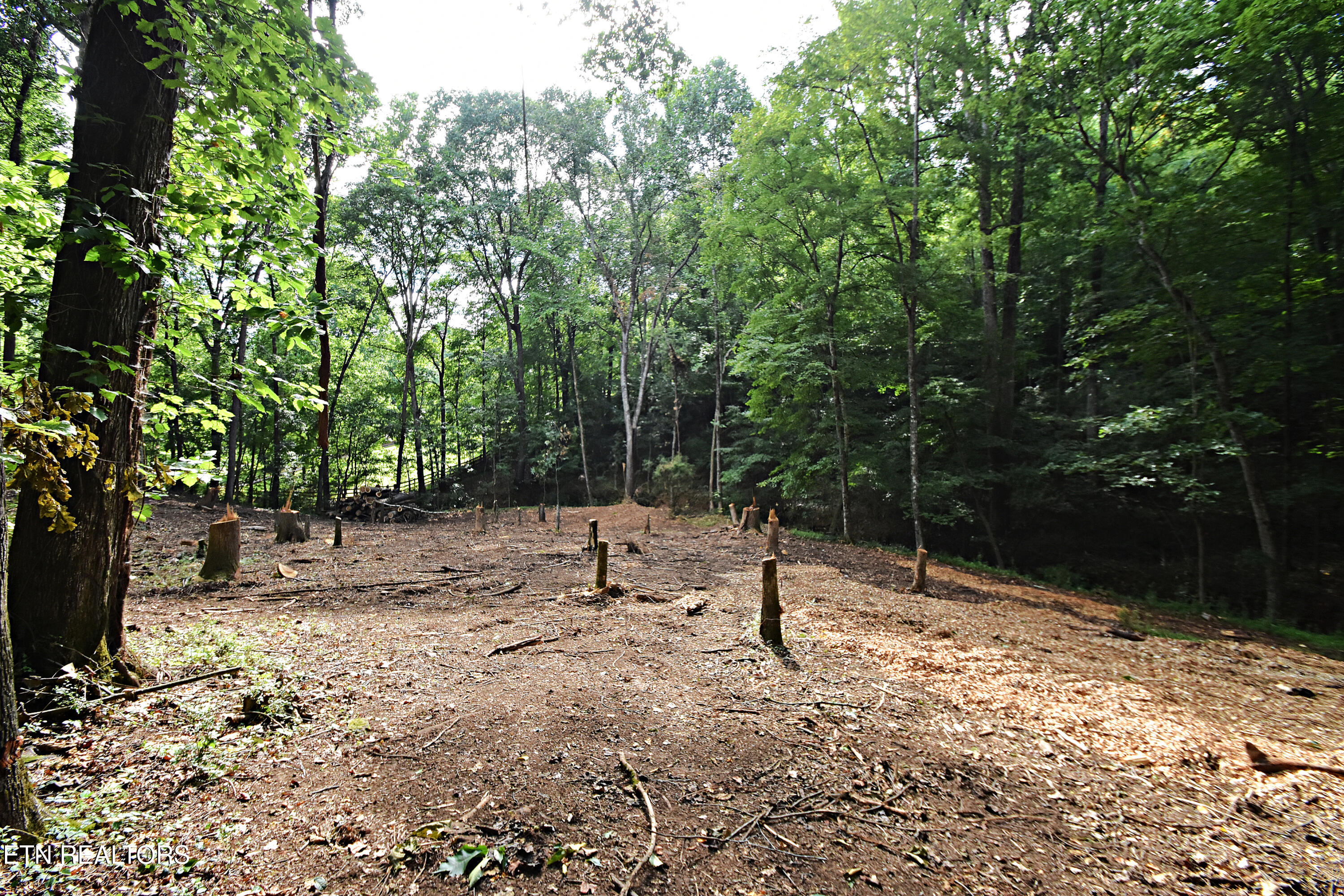 0 Early Road, Unit 2 Knoxville, TN 37922 - Photo 3 of 12 0 Early Rd. Tract 2