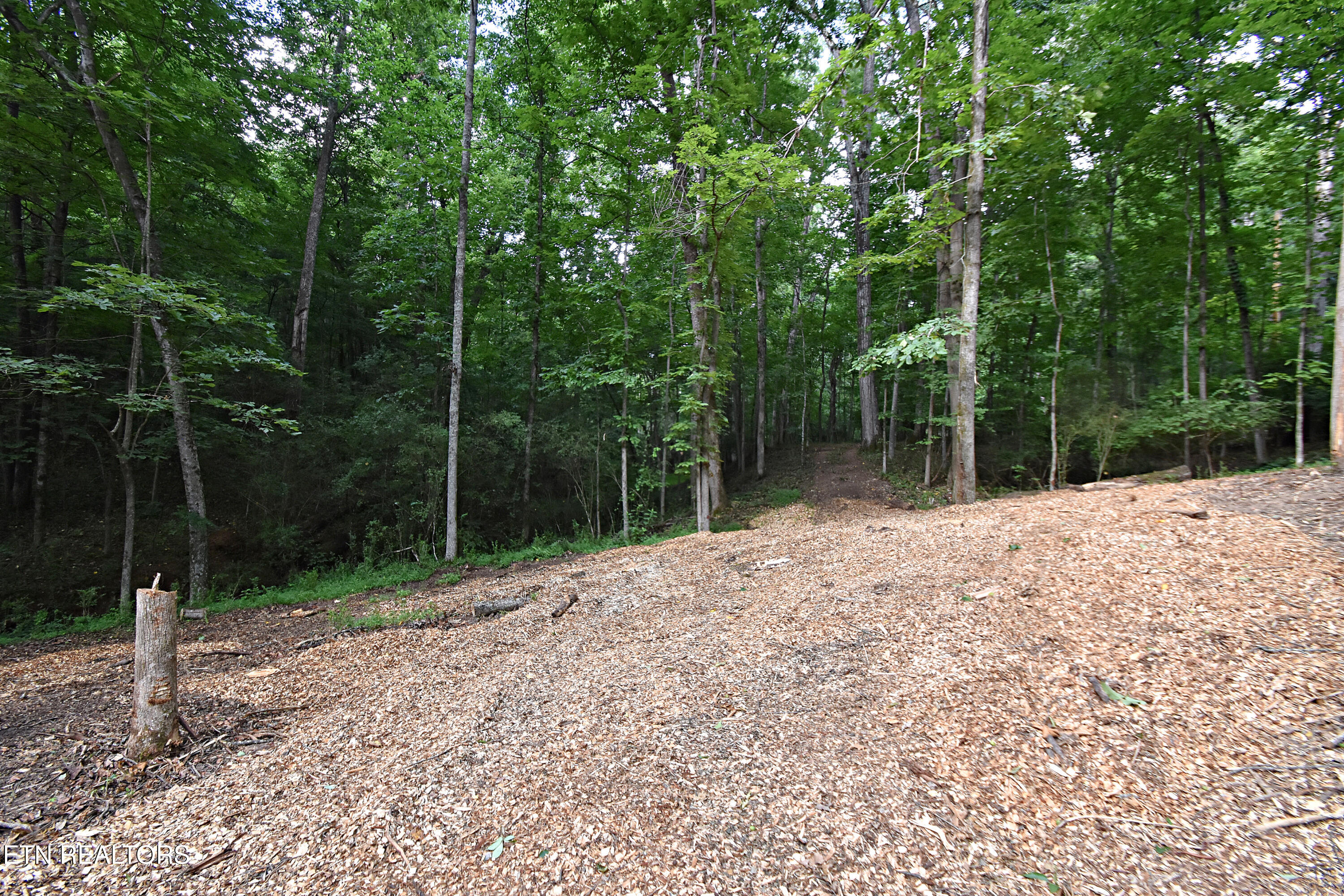 0 Early Road, Unit 2 Knoxville, TN 37922 - Photo 4 of 12 0 Early Rd. Tract 2